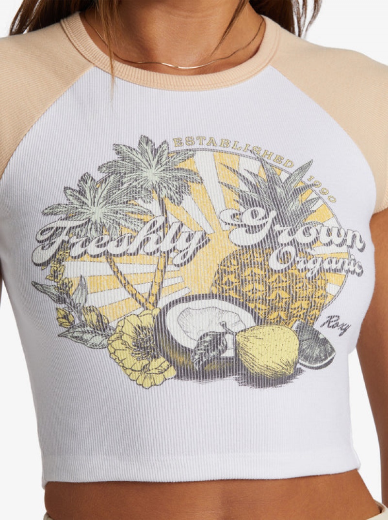 ロキシー Freshly Grown ノースリーブ Muscle Tシャツ | LHN501423