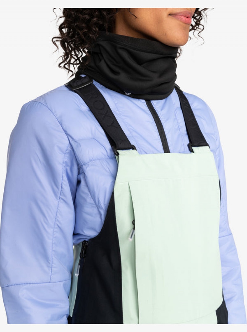 ロキシー GORE-TEX® Lunalite 3L Technical Bib スノーボードパンツ | JHL897540